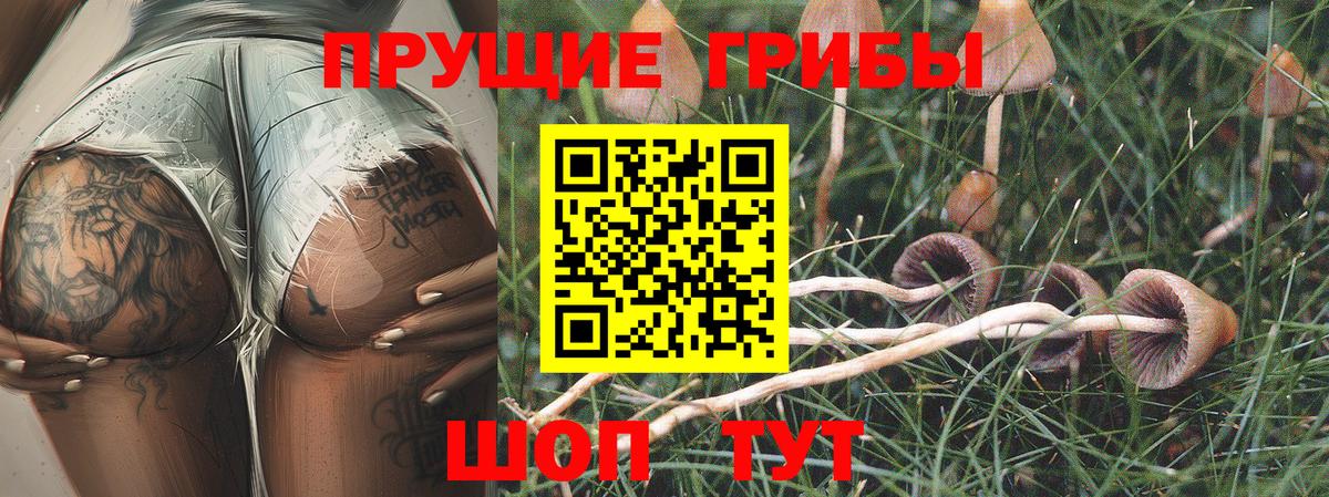 Амурск  Псилоцибиновые грибы Psilocybine cubensis  Вход с VPN  Галлюциногенные грибы прущие грибы 