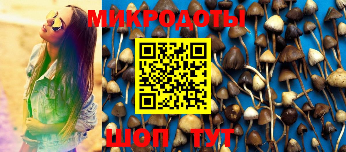 Галлюциногенные грибы прущие грибы Амурск